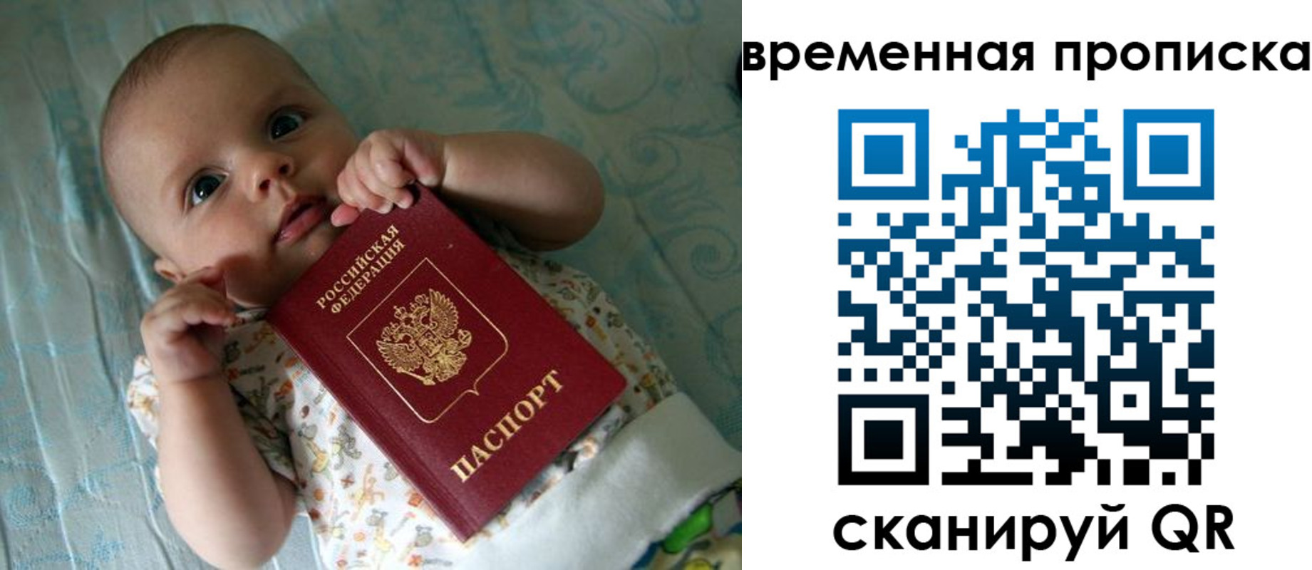 найти адрес прописки в Шебекино