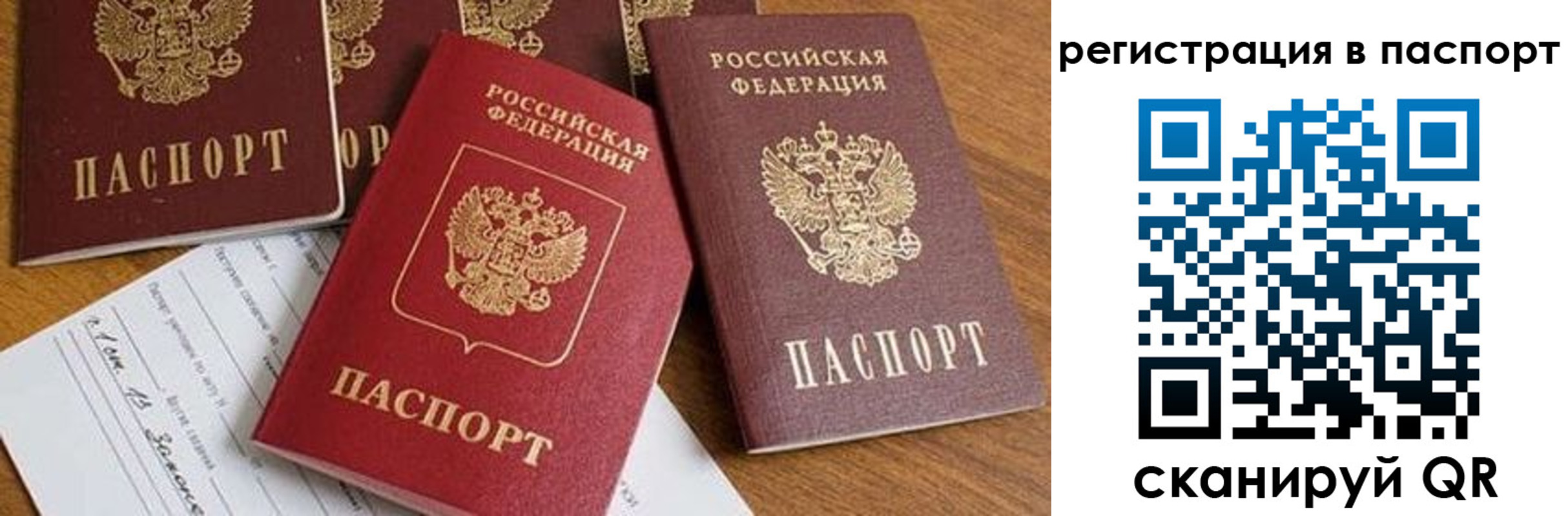 прописка в Шебекино
